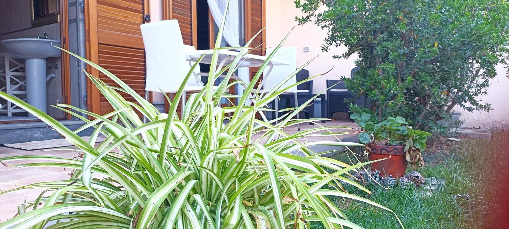 Apartamento Casa Lilla 1 E 2 Oristano Exterior foto